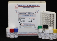 Vitamin B12 ELISA kit